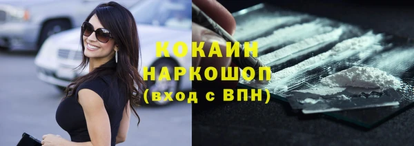 гидра Алексин