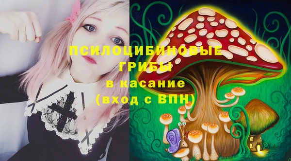 гидра Алексин