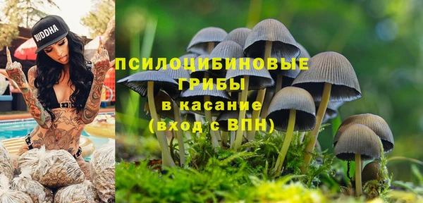 винт Алзамай
