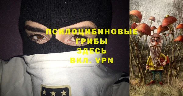 гидра Алексин