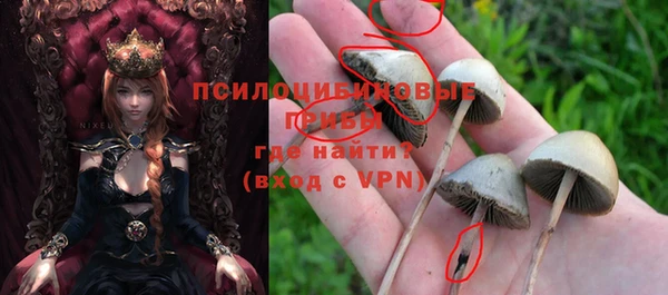 гидра Алексин