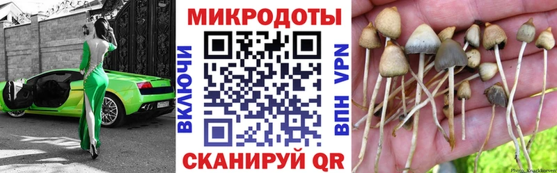 где купить наркоту  гидра рабочий сайт  Псилоцибиновые грибы мухоморы  Зеленоградск 